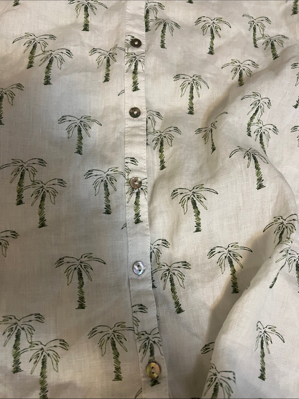 C&C California White Button-Down Shirt with Green Palm Print - Picture 3 of 4